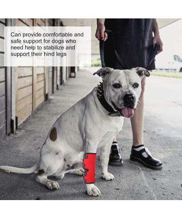 Pet Knee Brace Flexible Dog Leg Support Brace Impervious Shock Proof Dog for Pet(red S) - Buy Online on SooperMarket.com