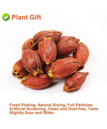 Buy Organic Gardenia Fruit Tea 80G | Chinese Herbal Tea - Jasmine Flavor - Natural Wellness - Buy Online on SooperMarket.com