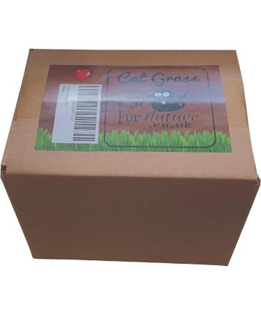 Cat Grass Kits x3 with Extra Strong Catnip - Cat FurNature - Buy Online on SooperMarket.com