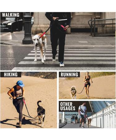 Plutus Pet Hands Free Dog Lead | Dual Handle Retractable Bungee Lead | Reflective Stitches | Adjustable Waist Lead for Medium Large Dogs - Red - Buy Online on SooperMarket.com
