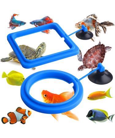 Molain Fish Feeding Ring 2 Pieces Fish Feeder Aquarium Fish Turtle Tank Accessories Food Feeder Circle For Guppy Bettas goldfish Turtle (Blue)