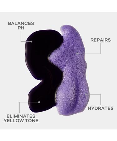 BRA Purple Shampoo & Toning Treatment Set - Acai & Barbados Cherry for Blonde Platinum Gray Ash Silver Hair - 8.33 fl oz | International Shipping Available - Buy Online on SooperMarket.com