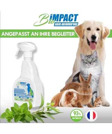 BioIMPACT Obler Shed for Cat Cubes - 750ml Enzymatic Pet Remark Remover | All Surfaces Immediate Effect No Defense Effect - Buy Online on SooperMarket.com