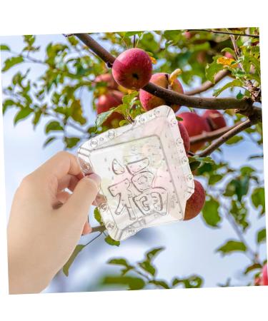 OFFSCH Apples Growth Mold 2pcs Square Apple Molds Fruit Growth Shaping Accessories Fruit Mold Fruit Shaper Melon Stereotypes - Buy Online on SooperMarket.com