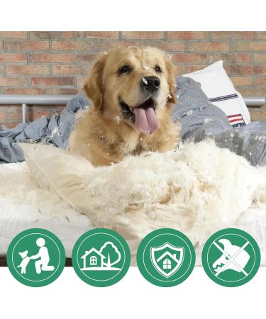 Anti Kau Spray for Dogs & Cats - 30ml | Effective Anti-Scratch Solution for Furniture Clothes & Shoes - Buy Online on SooperMarket.com