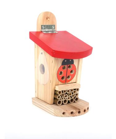 Wildlife World LBT4 Live Ladybird Lodge Red/Brown