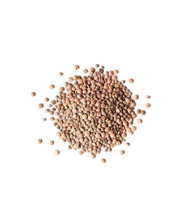 Organic Whole Red Lentils  3 Pounds  Non-GMO  Dry Raw Lentils  Sproutable  Vegan  Kosher  Bulk. Easy to Cook. Good Source of Folate  Fiber  and Protein. Perfect for Lentil Soup  Stews  and Curry. - Buy Online on SooperMarket.com
