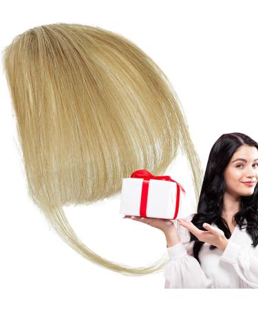 Dranng Bang Extensions Clip Human Hair French Bangs Clip on Fake Bangs Fringe Natural Color Fringe Hairpieces Stylish Neat Bangs Hair Extension for Girls Women gray gold - Buy Online on SooperMarket.com