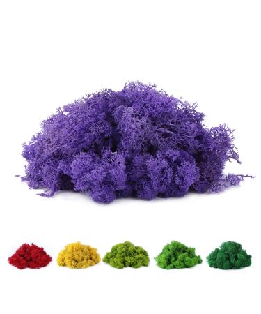 Fake Moss Preserved Reindeer Moss 3.5 OZ for Potted Plants, Arts and Crafts, Terrariums, Wall Decor, Centerpieces, Fairy Gardens, Wedding, Floral Project (Purple)