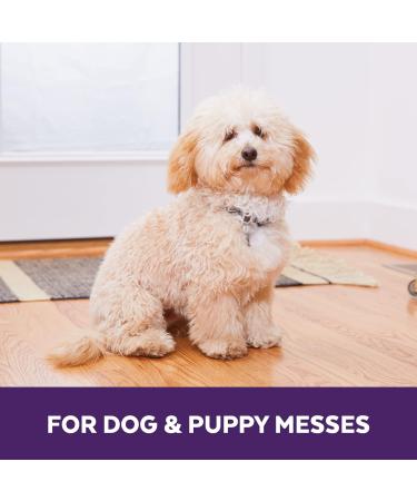 Urine OFF Dog Stain Remover 3.78L - Pet Urine & Odor Neutralizer - Deep Cleaning Puppy Stain Odor Remover - Buy Online on SooperMarket.com