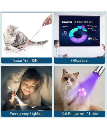 PAIDASHU Cat Toys Interactive Toys for Cats Cat Dog Red Pointer Light Toy 7 in 1 LED Cat Light Pen USB Rechargeable Pet Scratching Practice Chase Training Tool - Buy Online on SooperMarket.com