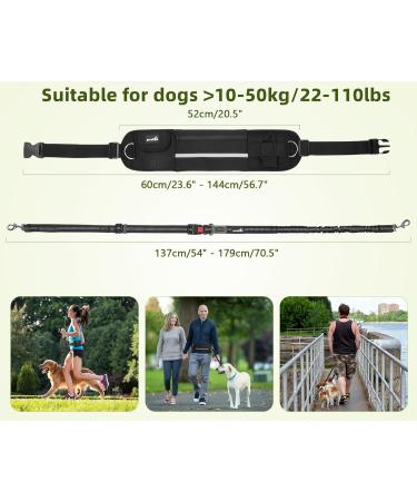 Pecute Jogging Leash for Large & Medium Dogs | Elastic Running Dog Leash with Belly Belt & Belt Bag | Durable Up to 100kg - Perfect for Jogging & Running - Buy Online on SooperMarket.com