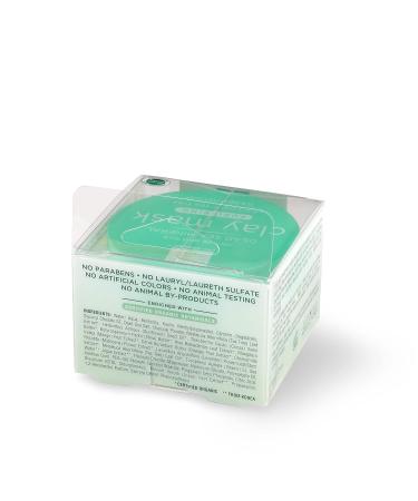 Earth Therapeutics Dead Sea Mineral Clay Mask - Charcoal & Tea Tree | International Shipping Available - Buy Online on SooperMarket.com