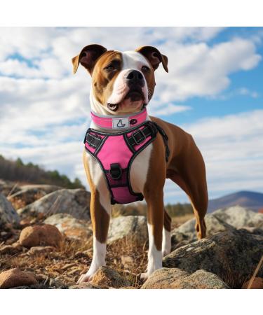 Joytale Softly Padded Neoprene Dog Collar for Medium Dogs - Reflective Wide Nylon Collar in Bright Pink (1 Pack) - International Shipping Available - Buy Online on SooperMarket.com