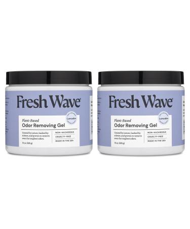 Fresh Wave Lavender Odor Removing Gel 15 oz. | Pack of 2 | Safer Odor Absorbers for Home | Natural Plant-Based Odor Eliminator | Every 15 oz. Lasts 30-60 Days | for Cooking Trash & Pets 425.05 g (Pack of 2)
