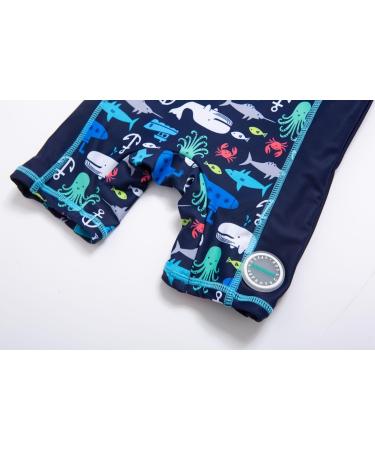 BONVERANO Baby Boy Sunsuit Swimsuit with UPF 50+ Sun Protection, 2-3 Years - Buy Online on SooperMarket.com