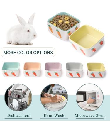 JanYoo Hamster Food Bowl Guinea Pig Feeder Accessories Ceramic for Cage with Water Supplies for Bunny Blue Yellow 150 ml (2 Pack) C-Blue+Yellow Pack of 2 - Buy Online on SooperMarket.com