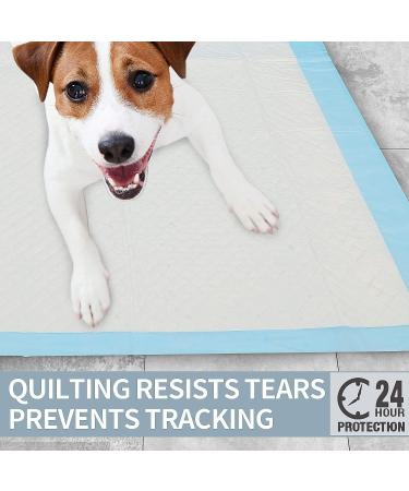 40 Count Dog Pee Pads Extra Large 23.6"x35.4" X-Large Training Puppy Pee Pads Super Absorbent & Leak-Proof XL Disposable Pet Piddle Pad and Potty Pads for Dogs Puppies Doggie -60x90cm - Buy Online on SooperMarket.com