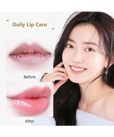 Lip Care Lip Balm Set - Honey Milk Moisturizing And Plump Lipbalm Set - Lip Hydration Exfoliating Minimizing Lip Lines Brightening Lip Repair - Lip Scrub Lip Balm Lip Oil Lip Mask - Buy Online on SooperMarket.com