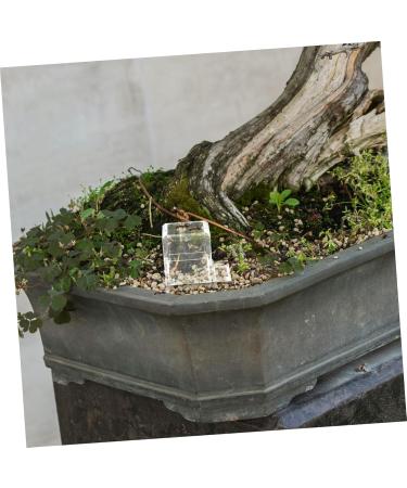 BESPORTBLE 4pcs Pet Water Feeder Ants Nest Water Feeding Area Water Bowl for Ants Small Ants Feeder Plastic - Buy Online on SooperMarket.com