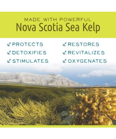 Buy Nova Scotia Fisherman Beard Balm - Non-Greasy Vegetarian Natural Ingredients Sable Island Spice | 17g | Prevent Dry Skin & Breakouts Internationally - Buy Online on SooperMarket.com