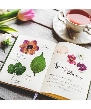 223 Pieces Real Dried Flowers, Leaves & Butterfly Stickers Set - Colorful Natural Daisies & Adhesive Decals for DIY Resin Jewelry & Nail Crafts - Buy Online on SooperMarket.com