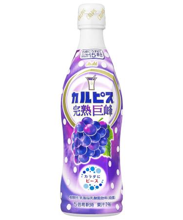 Calpico Concentrated Drink Mix Gigantic Peak Imported with SAIKO JAPAN Coupon Gift