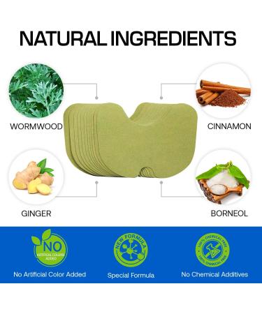 SilkDermis Pain Relief Patches 12 Count - Herb Infused for Knee & Back Pain - Long Lasting Relief - Buy Online on SooperMarket.com