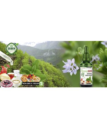 Alphapower Original Stevia Sugar Drops 100ml - Vegan GMO-Free Zero Calorie Liquid Sweetener for Baking & Beverages - Buy Online on SooperMarket.com