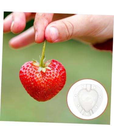 Kisangel 5pcs Fruit Shaping Vegetables Cucumber Fruit Shaper Cherry Tomatoes Stereotypes - Buy Online on SooperMarket.com