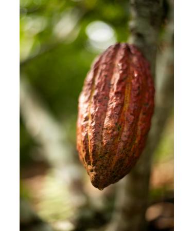 Peruvian "Blend" Ceremonial Cacao by The Jasper Cacao Project (250 Grams) - Buy Online on SooperMarket.com