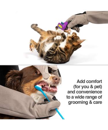 PetFusion Multipurpose Pet Glove for Grooming, Vet Trips & Handling - Medium, Grey - Buy Online on SooperMarket.com