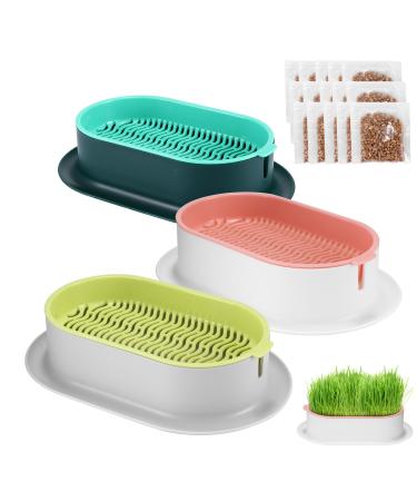 UNISOPH 3pcs Cat Grass Planter Cat Grass Planting Container Catnip Cat Grass Box with 15 Packs of Cat Grass Seeds Plastic Soil Free Cat Plant Planting Box for Planting Cat Grass