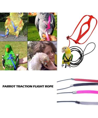 Premium Bird Leash & Dishes - Anti-Bite Flight Training Rope for Small Birds | Perfect for Nymphensittich & Outdoor Use - Buy Online on SooperMarket.com
