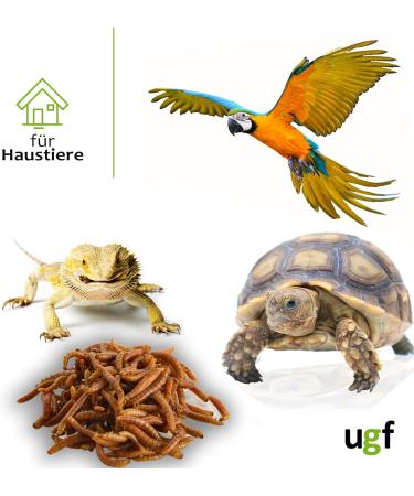 UGF Juicy Preserved Mealworms 140g - Premium Bird Food Hedgehog & Squirrel Treats Year-Round Nutrition - Buy Online on SooperMarket.com