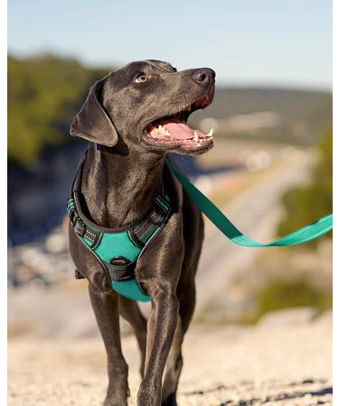 Joytale Reflective Dog Harness for Large Dogs | Adjustable Soft Padded & Breathable | Safe Control Handle | Turquoise (1 Pack) - Buy Online on SooperMarket.com