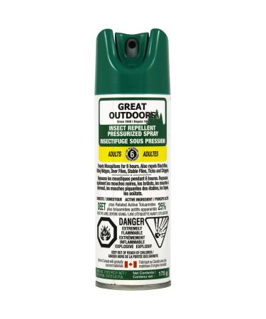 Great Outdoors Insect Repellent Spray - 175 G Aerosol 25% Deet - Adults 175 Gram