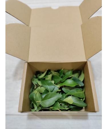 Fresh Curry Leaves - Cleaned and Sticks Removed 50gm - Buy Online on SooperMarket.com