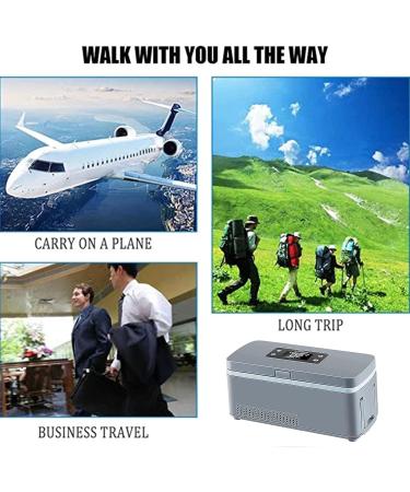 Portable Insulin Cool Box Mini Intelligent Electric Fridge Cooler Bag with Car USB Charging Cable for Travel Cool Box Airplane Car Family 220V-Battery*1 - Buy Online on SooperMarket.com