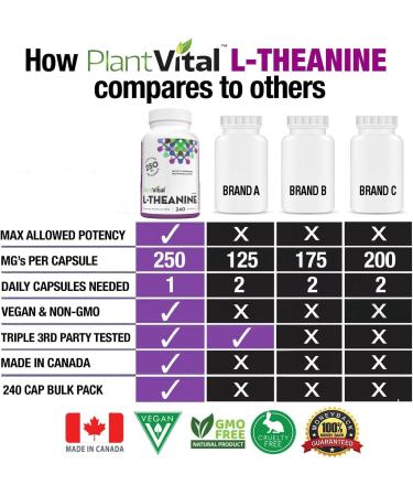 PlantVital High Potency L-Theanine 250mg Capsules - 240 Count - L Theanine Supplement for Relaxation and Stress Management Non-GMO Made in Canada - L-Theanine Supplements 8 Month Supply 240 count (Pack of 1) - Buy Online on SooperMarket.com
