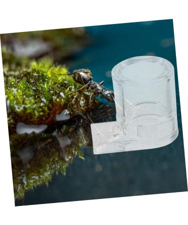 Balacoo 2pcs Ant Water Feeder ant Habitat Science ant Farm nest ant Castle ant Farming Castle ant Colony - Buy Online on SooperMarket.com