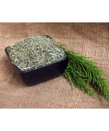 Krauterino24 - Horsetail herb cut quantity: 500g