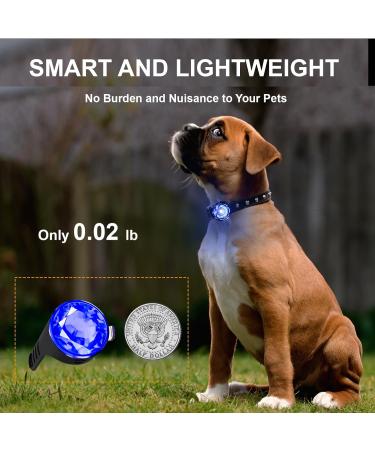 2 Pack LED Dog Harness Lights - Fluorescent Silicone Bands with USB-C - IP65 Waterproof - 3 Modes Flashing Light (Blue) - Buy Online on SooperMarket.com