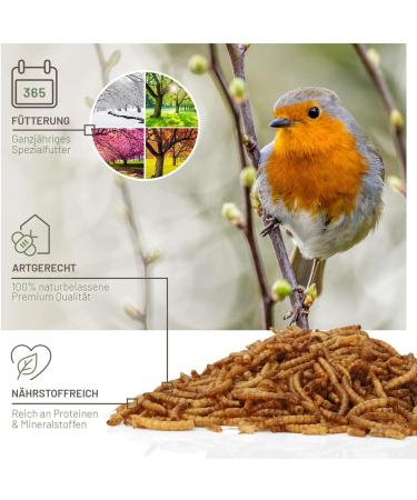 Buy Wild Animal Love Noble Mealworms 5L | Dried Mealworms for Birds & Hedgehogs | Premium Insect Food for Garden Birds - Buy Online on SooperMarket.com