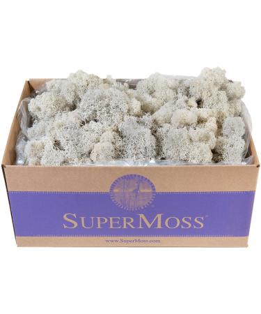 SuperMoss (23197) Reindeer Moss Preserved, White 3lbs Box