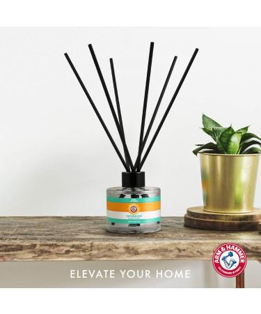 Arm & Hammer Pet Odor Eliminator Room Spray | 10 oz Eucalyptus Mint Fragrance | Baking Soda Pet Deodorizer | Eucalyptus Mint Reed Diffuser - Buy Online on SooperMarket.com