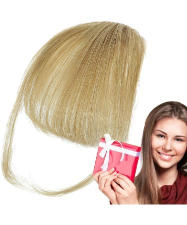Dranng Bang Extensions Clip Human Hair French Bangs Clip on Fake Bangs Fringe Natural Color Fringe Hairpieces Stylish Neat Bangs Hair Extension for Girls Women gray gold - Buy Online on SooperMarket.com