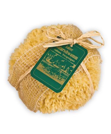 Croll & Denecke natural sponge nature