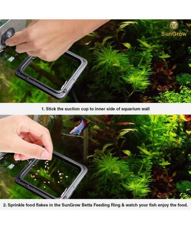 SunGrow Feeding Ring for Goldfish & Small Fish - Floating Food Square | Perfect for Flakes | 1 Piece - Buy Online on SooperMarket.com