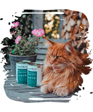 Venandi Animal - Premium Grain-Free Turkey Cat Food | Monoprotein Wet Food Pack of 6 (6 x 400g) - Natural & Healthy - Buy Online on SooperMarket.com